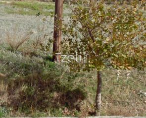 Οικόπεδο 442 τ.μ. για πώληση, Εύβοια, Κάρυστος-thumb-22