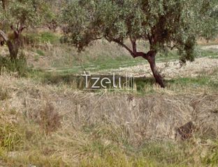 Οικόπεδο 442 τ.μ. για πώληση, Εύβοια, Κάρυστος-thumb-18
