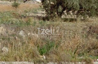 Οικόπεδο 442 τ.μ. για πώληση, Εύβοια, Κάρυστος-thumb-7