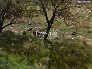 Οικόπεδο 442 τ.μ. για πώληση, Εύβοια, Κάρυστος-thumb-1