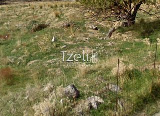 Οικόπεδο 442 τ.μ. για πώληση, Εύβοια, Κάρυστος-thumb-17