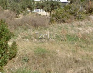 Οικόπεδο 442 τ.μ. για πώληση, Εύβοια, Κάρυστος-thumb-21