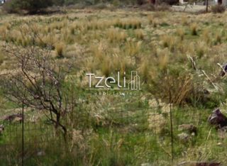 Οικόπεδο 442 τ.μ. για πώληση, Εύβοια, Κάρυστος-thumb-5
