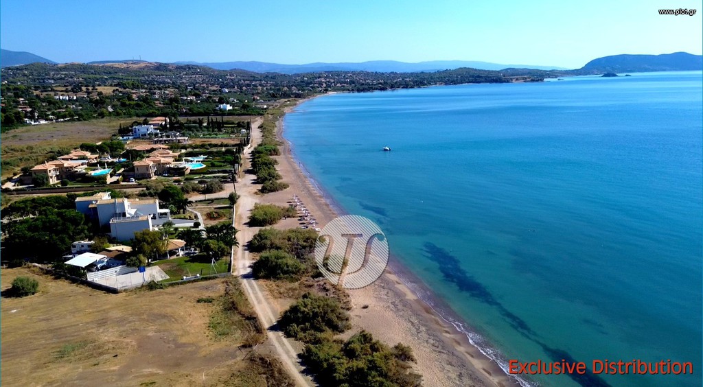 Οικόπεδο 9.899 τ.μ. προς πώληση, Αργολίδα, Κρανίδι