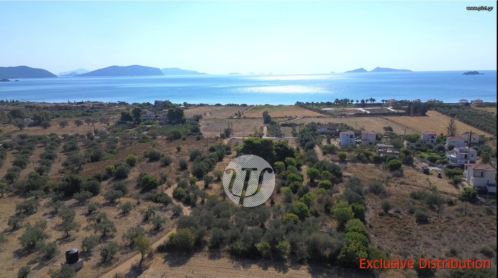 Οικόπεδο 9.899 τ.μ. προς πώληση, Αργολίδα, Κρανίδι