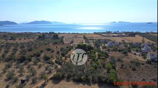 Οικόπεδο 9.899 τ.μ. για πώληση
