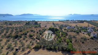 Οικόπεδο 9.899 τ.μ. πρός πώληση, Αργολίδα, Κρανίδι-thumb-3