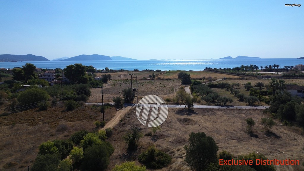 Οικόπεδο 9.899 τ.μ. προς πώληση, Αργολίδα, Κρανίδι