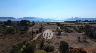 Οικόπεδο 9.899 τ.μ. πρός πώληση, Αργολίδα, Κρανίδι-thumb-4
