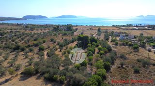 Οικόπεδο 9.899 τ.μ. πρός πώληση, Αργολίδα, Κρανίδι-thumb-8