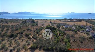 Οικόπεδο 9.899 τ.μ. πρός πώληση, Αργολίδα, Κρανίδι-thumb-10