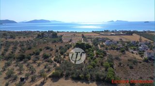 Οικόπεδο 9.899 τ.μ. πρός πώληση, Αργολίδα, Κρανίδι-thumb-11