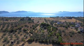 Οικόπεδο 9.899 τ.μ. για πώληση, Αργολίδα, Κρανίδι-thumb-2