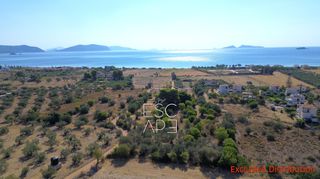 Οικόπεδο 9.899 τ.μ. για πώληση, Αργολίδα, Κρανίδι-thumb-3