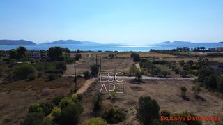Οικόπεδο 9.899 τ.μ. για πώληση, Αργολίδα, Κρανίδι-thumb-4