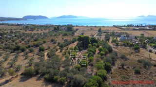 Οικόπεδο 9.899 τ.μ. για πώληση, Αργολίδα, Κρανίδι-thumb-8
