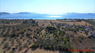 Οικόπεδο 9.899 τ.μ. για πώληση, Αργολίδα, Κρανίδι-thumb-11