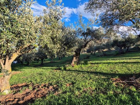 Land plot 3.455sqm for sale-Limni » Mirtias