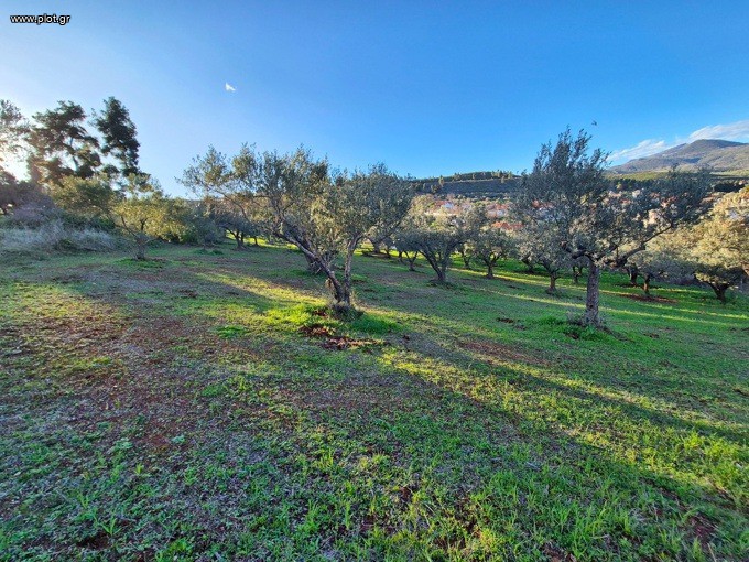Οικόπεδο 3.455 τ.μ. προς πώληση, Μυρτιάς
