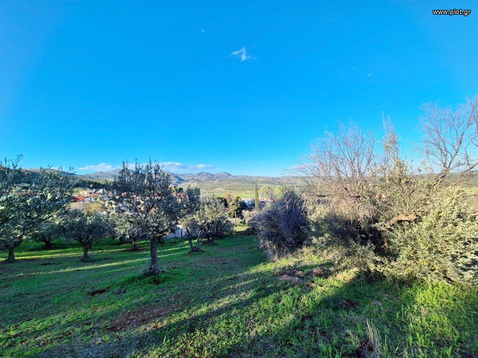 Οικόπεδο 3.455 τ.μ. προς πώληση, Μυρτιάς