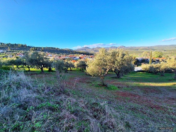 Οικόπεδο 3.455 τ.μ. προς πώληση, Μυρτιάς