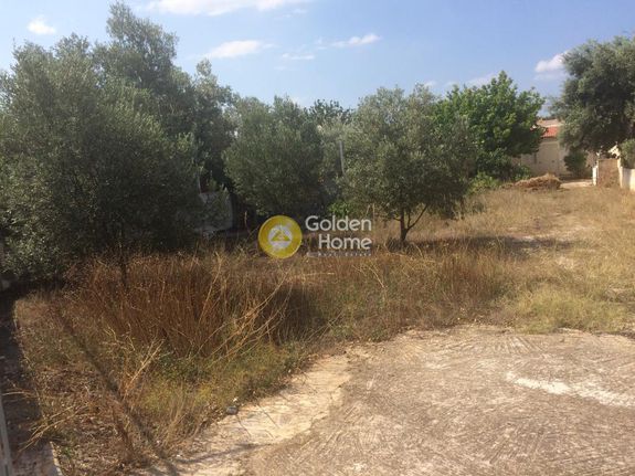 Parcel 567 sqm for sale, Athens - East, Koropi