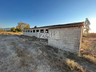 Αποθήκη 280 τ.μ. για πώληση, Αχαΐα, Μόβρη-thumb-10