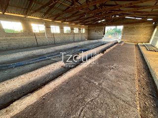Αποθήκη 280 τ.μ. για πώληση, Αχαΐα, Μόβρη-thumb-6