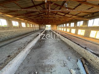 Αποθήκη 280 τ.μ. για πώληση, Αχαΐα, Μόβρη-thumb-22