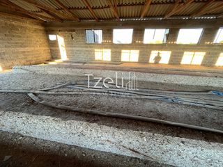 Αποθήκη 280 τ.μ. για πώληση, Αχαΐα, Μόβρη-thumb-26