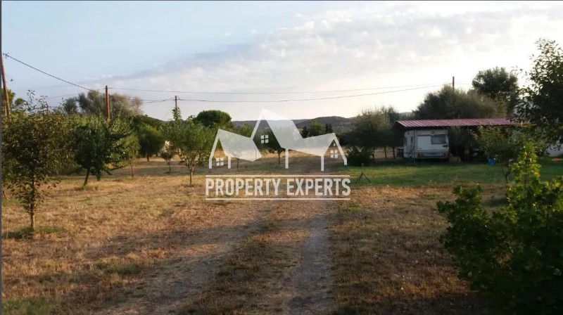 Αγροτεμάχια 4.500 τ.μ. προς πώληση, Παραλία Δικελλών