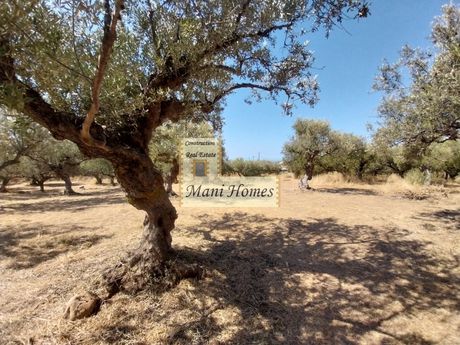 Οικόπεδο 862τ.μ. για πώληση-Λεύκτρος » Άγιος νικόλαος