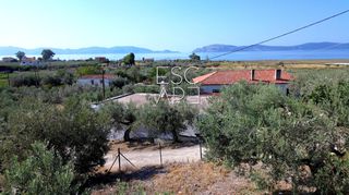 Οικόπεδο 307 τ.μ. για πώληση