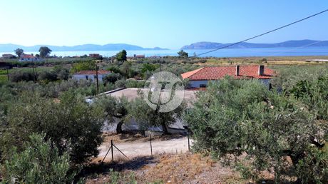 Οικόπεδο 307τ.μ. για πώληση-Ερμιόνη » Αγία αικατερίνη