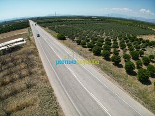 Αγροτεμάχια 11.921 τ.μ. για πώληση, Αργολίδα, Μυκήνες-thumb-11