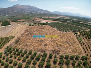 Αγροτεμάχια 11.921 τ.μ. για πώληση, Αργολίδα, Μυκήνες-thumb-2
