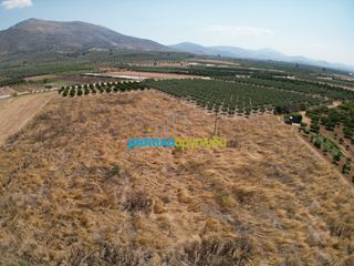 Αγροτεμάχια 11.921 τ.μ. για πώληση, Αργολίδα, Μυκήνες-thumb-4