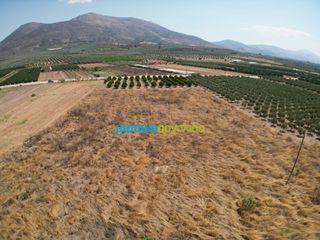 Αγροτεμάχια 11.921 τ.μ. για πώληση, Αργολίδα, Μυκήνες-thumb-5
