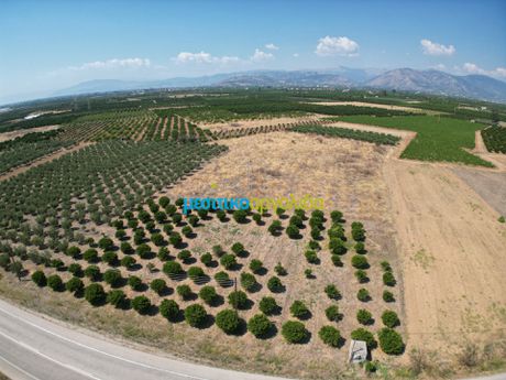 Parcel 11.921sqm for sale-Mycenae
