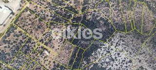 Αγροτεμάχια 16.000 τ.μ. για πώληση