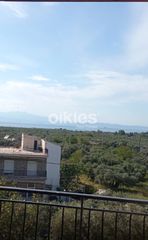 Αγροτεμάχια 16.500 τ.μ. για πώληση