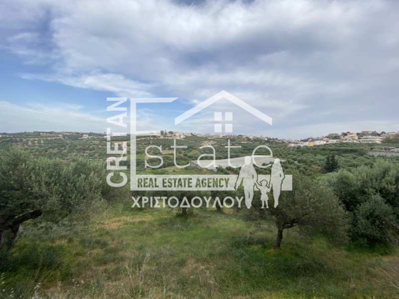 Αγροτεμάχια 5.200 τ.μ. προς πώληση, Σκαλάνι