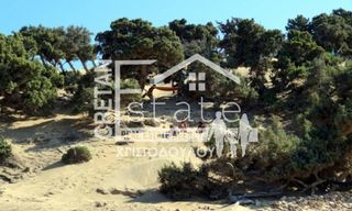 Οικόπεδο 19.508 τ.μ. προς πώληση, Καστρί Γαύδου-thumb-2