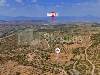 Αγροτεμάχια 4.007 τ.μ. για πώληση