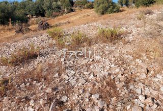 Οικόπεδο 255 τ.μ. για πώληση, Αχαΐα, Πάτρα-thumb-24