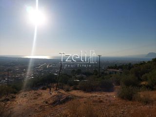 Οικόπεδο 255 τ.μ. για πώληση, Αχαΐα, Πάτρα-thumb-15