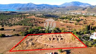 Οικόπεδο 4.000 τ.μ. για πώληση