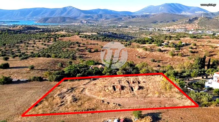 Οικόπεδο 4.000 τ.μ. για πώληση, Αργολίδα, Κρανίδι