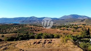Οικόπεδο 4.000 τ.μ. για πώληση, Αργολίδα, Κρανίδι-thumb-7