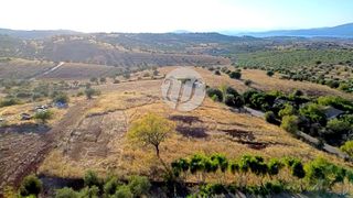 Οικόπεδο 4.000 τ.μ. για πώληση, Αργολίδα, Κρανίδι-thumb-8